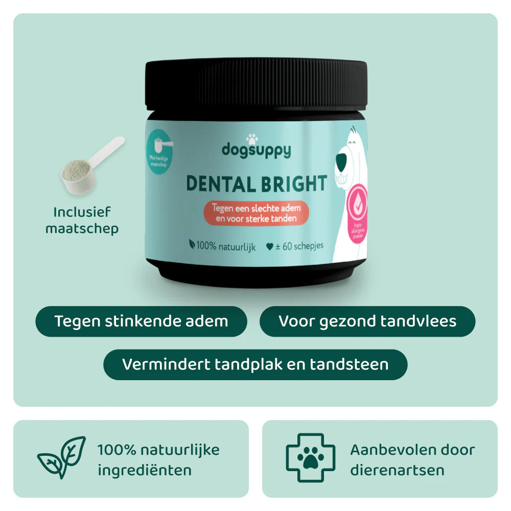 Dental Bright